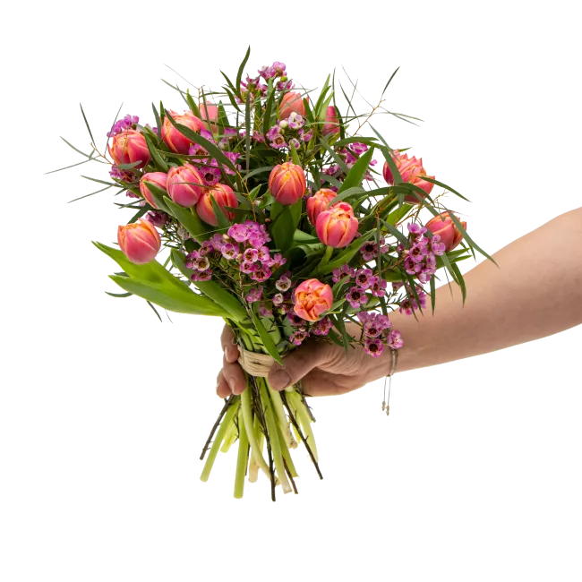 Kytice prémiových tulipánů